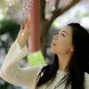應許之地