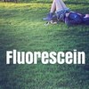 Fluorescein