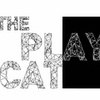 The Playcat