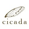 Cicada(Taiwan)