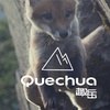 Quechua趣岳