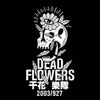 DEAD FLOWERS 干花乐队