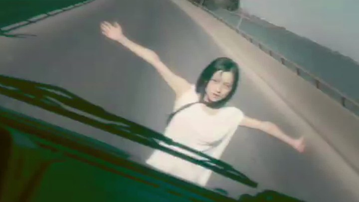预告片 (中文字幕)