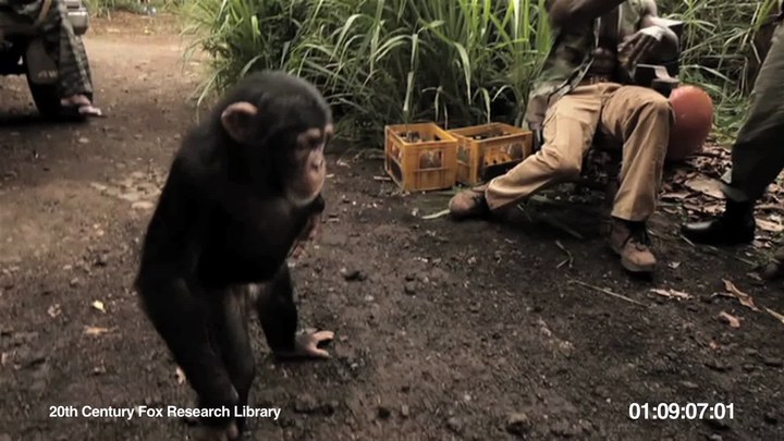 其它预告片：黑猩猩使用AK-47