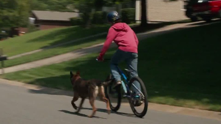 电视版