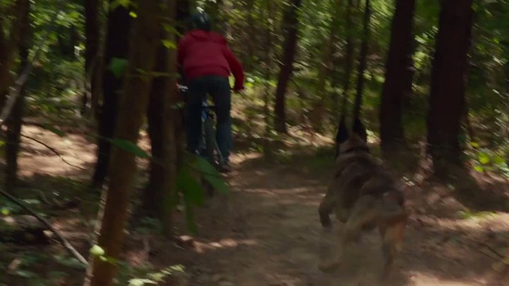片段：Bike Chase