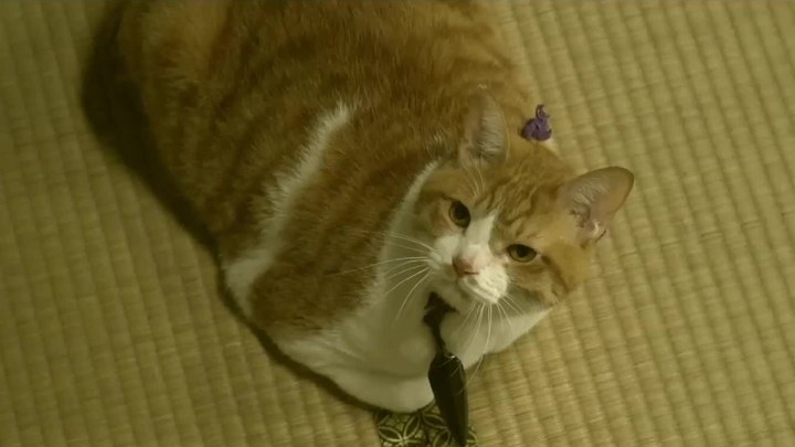 日本预告片