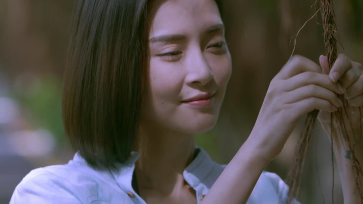 MV：主题曲