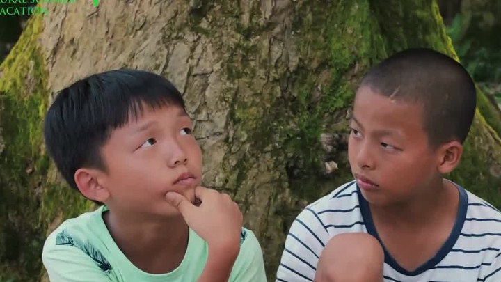 预告片：定档版 (中文字幕)