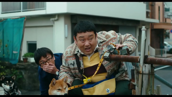 预告片