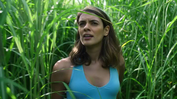 预告片 (中文字幕)