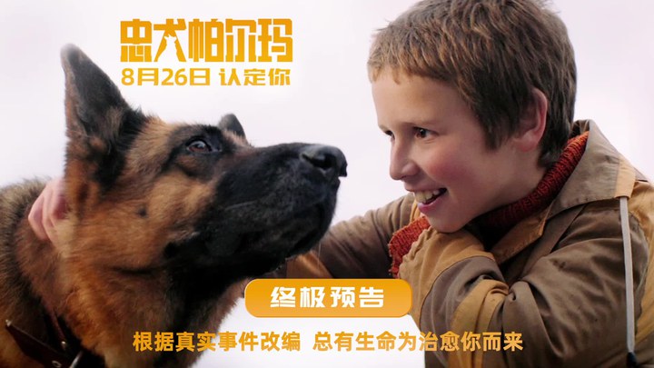 中国预告片：终极版 (中文字幕)