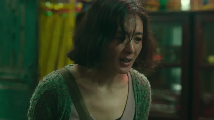 片段 (中文字幕)