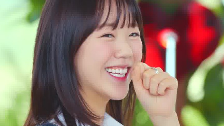 预告片 (中文字幕)