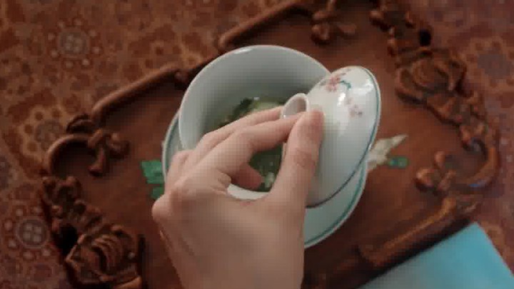 预告片 (中文字幕)