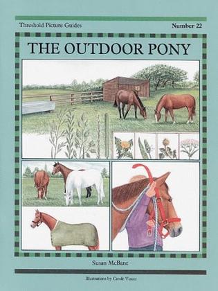The Outdoor Pony