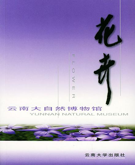 云南大自然博物馆·花卉