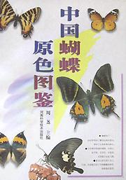 中国蝴蝶原色图鉴