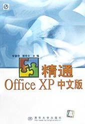 精通 Office XP 中文版