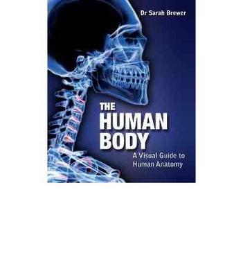 The Human Body A Visual Guide to Human Anatomy