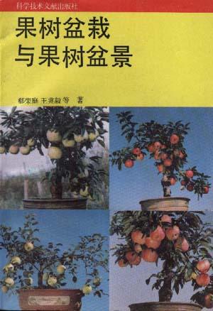 果树盆栽与果树盆景