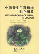 中国野生兰科植物彩色图鉴