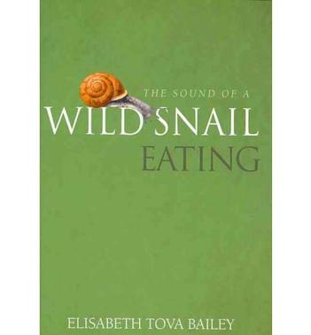 the sound of a wild snail eating