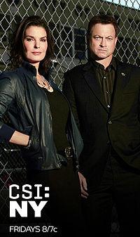 犯罪现场调查：纽约 第九季 CSI: NY Season 9