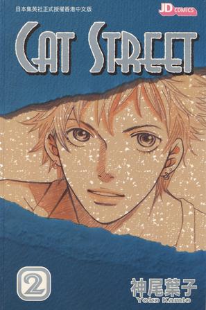 Cat Street 02