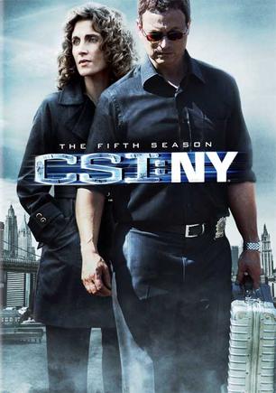 犯罪现场调查：纽约 第五季 CSI: NY Season 5