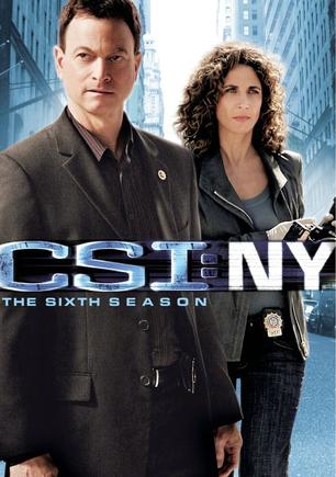 犯罪现场调查：纽约 第六季 CSI: NY Season 6
