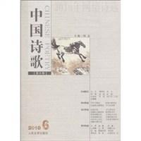 2010年网络诗选(中国诗歌第6卷2010.6) (平装)