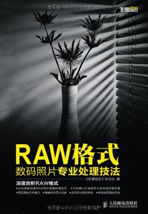 RAW格式数码照片专业处理技法