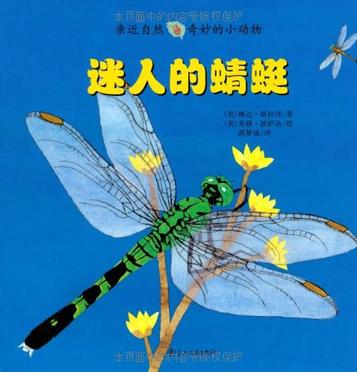 迷人的蜻蜓-亲近自然奇妙的小动物