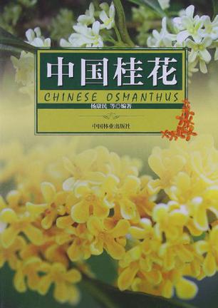 中国桂花