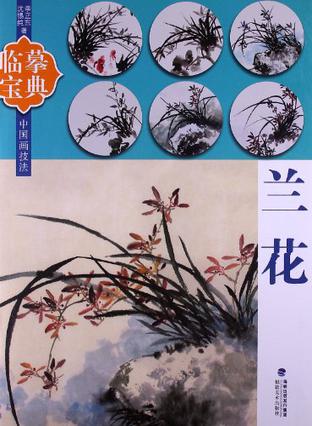 兰花-临摹宝典-中国画技法