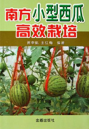 南方小型西瓜高效栽培