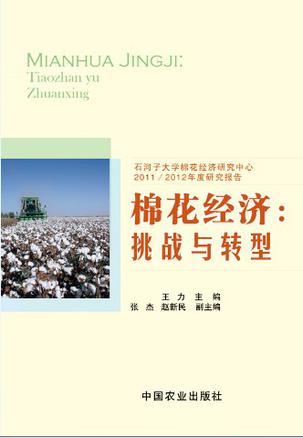 棉花经济：挑战与转型