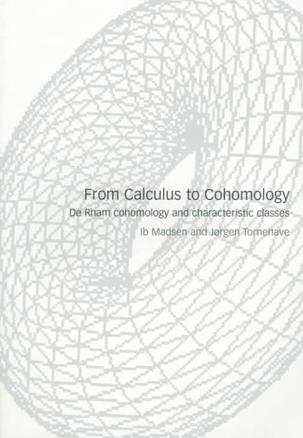 From Calculus to Cohomology