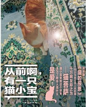 从前啊,有一只猫小宝