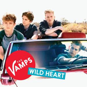 the wild at heart switch review