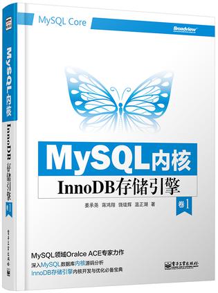 MySQL内核：InnoDB存储引擎 卷1