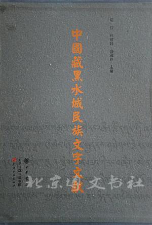 中国藏黑水城民族文字文献