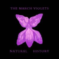 March Violets Crow Baby March Violets Crow Baby