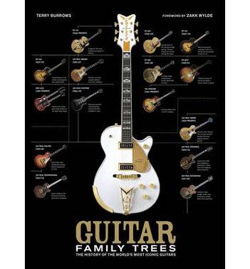 (Guitars Illustrated