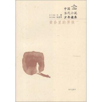 中国当代小说少年读库:黄昏里的男孩