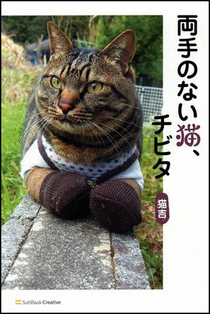 両手のない猫、チビタ