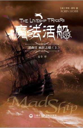 魔法活船2：疯狂之船图书封面